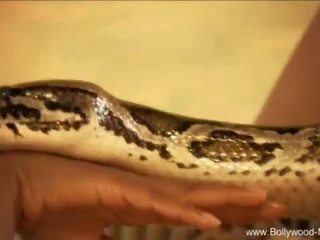 Bollywood un the enchanting snake