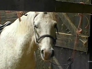 Dirty wild xxx video in a barn for naughty farm girls